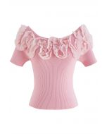 Ruffle Mesh Boat Neck Knit Top in Pink